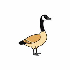 goose isolated on white background