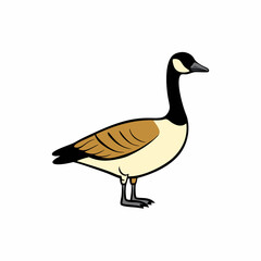 goose isolated on white background