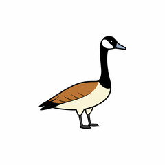 goose isolated on white background
