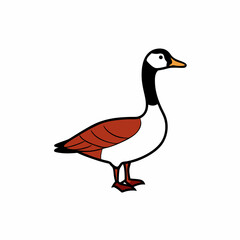 goose isolated on white background