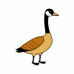 goose isolated on white background