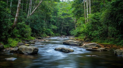 Obraz premium Serene Jungle Scene with Flowing River and Dense Foliage
