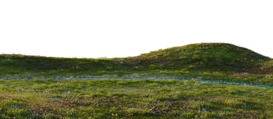 Scenic meadow stream with wildflowers. 3D rendering.