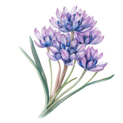 Naklejka premium Beautiful Pastel Illustration of Chives on a transparent background Featuring Retro Style and Elegant Floral Design