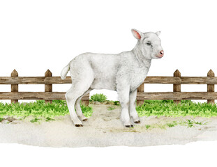 Obraz premium Cute lamb standing against old wooden fence background. Hand drawn vintage style realistic illustration. Perfect for farm themed designs, baby products, Easter decor and countryside inspired projects