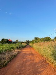 A rural red road leading through fields under a clear blue sky