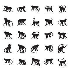 monkey silhouette vector set photo