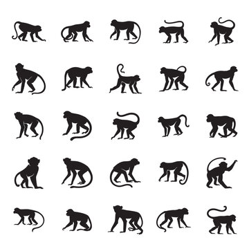 monkey silhouette vector set photo