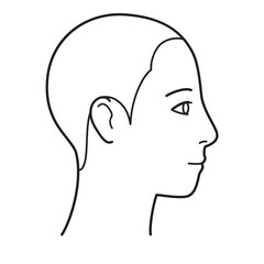 顔　生え際　横顔　右向き　白黒

