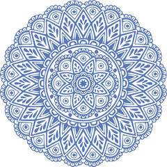 Beautiful flower art and mandala vector design