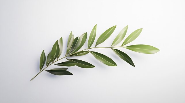 Vibrant Olive Branch Photo: Close-Up View Against a Clean Background. AI Generated