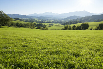 A peaceful countryside scene with rolling hills, fresh green grass, and blossoming trees, signaling the arrival of spring and the renewal of nature.
