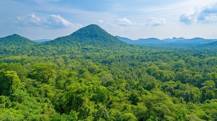Fototapeta premium A lush green forest with a mountain in the background
