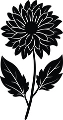 Black silhouette of Aster vector illustration