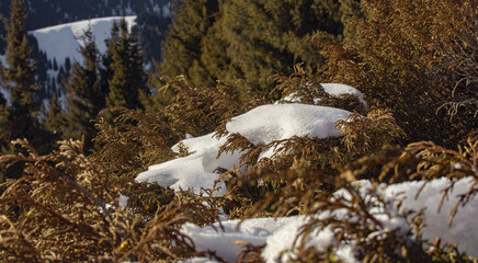 snow in the mountains