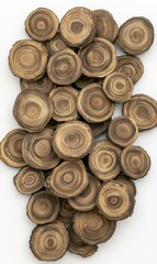 Stack of wood slices showing growth rings. AI.