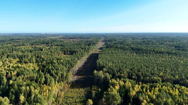 Construction of the Rail Baltica railway line cutting a wide swathe through an autumnal forest european transportation project connecting baltic countries, drone establishing shot, Lithuania