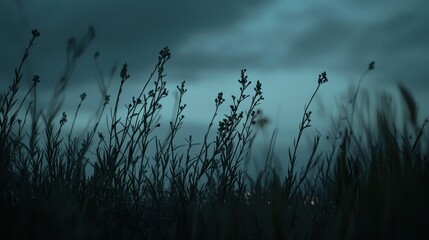 Obraz premium Dark silhouette of tall grass against a moody sky, evoking a tranquil atmosphere.