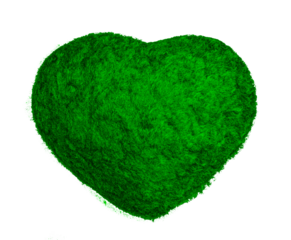 Heart, Heart, Worry, Fatigue, Love, Kindness, Love, Sweetness, Vacation, Leisure, Nostalgia, Friendship, Family, Friends, Reunion, Love, Extramarital Affairs, Homosexuality, Depression, Loneliness, So