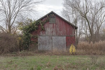 Weathered red barn with ivy, boarded-up doors, and overgrown vegetation in a rural landscape.