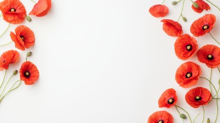 White frame with red poppy, center blank space, perfect for Veterans Day message or photo. Perfect for a tribute.