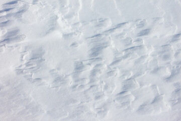 The snow is white and the ground is covered in it