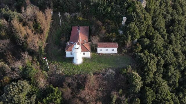 Lighthouse In The Trees