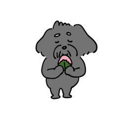 桜餅を食べる犬
