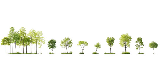 set of green trees isolated on transparency background, ideal for decoration or design projects, showcasing various tree types and sizes. vibrant foliage adds natural touch