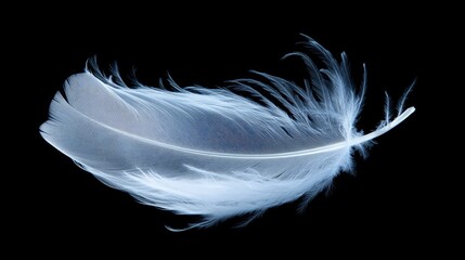 A delicate white feather floating gracefully with subtle motion blur, captured on a transparent background for an ethereal and peaceful effect