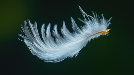 Obraz premium A delicate white feather suspended mid-air, subtly blurred to convey peaceful motion, set against a clean, transparent background