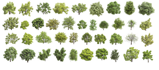 diverse collection of green trees on transparency background showcases various shapes and textures, highlighting nature variety and beauty