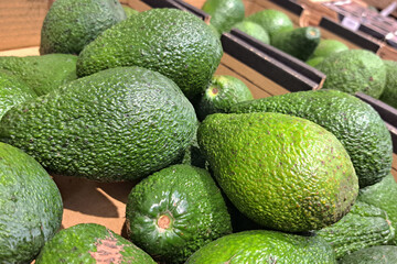 Fresh avocados in cartons ready for transport. Pile of green avocados for sale at a grocery store or fruit market. Bulk fruit shipment display. Food industry background. Green fruit in supermarket.
