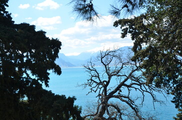 deep blue sky sea view