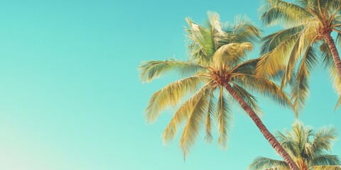 Coconut palm trees stand gracefully against a clear blue sky, creating a vintage travel card aesthetic with a nostalgic effect that highlights the beauty of coconut palm trees in nature.