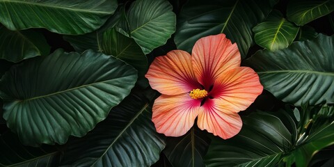 A vibrant and beautiful flower enhances the frame of lush leaves, creating an eye catching natural scene. This stunning composition showcases the bright flower amidst the leafy backdrop.