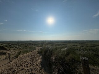 Sandy Landscape