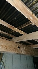 1669)Traces of exterminating yellow vented hornet nests on terrace beams(Photo taken at 20:53 on july 24, 2017)