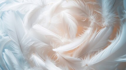 Fototapeta premium White feathers delicately floating in a spiral, creating an atmosphere of calm and lightness, symbolizing peace and serenity