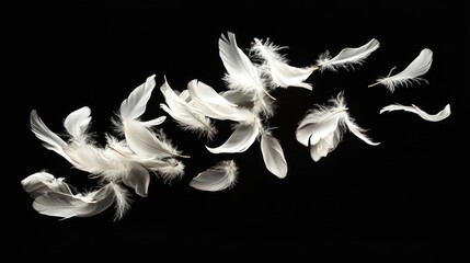 Obraz premium White feathers gently spiraling through the air, embodying a sense of lightness and calm, perfect for conveying tranquility