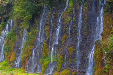 Shiraito Falls is one of the most beautiful waterfalls in Japan. The water flows from the melting...