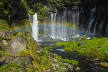 Fototapeta premium Shiraito Falls is one of the most beautiful waterfalls in Japan. The water flows from the melting snow on Mt. Fuji. It is most beautiful in late November. Shizuoka Prefecture, Japan 