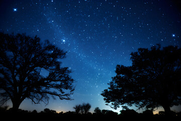 Starry night sky panorama: collision of tranquility and infinite wonder