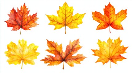 Fototapeta premium Six Watercolor Maple Leaves, Autumn Colors
