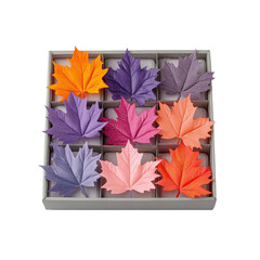 Colorful Autumn Maple Leaves in Gift Box