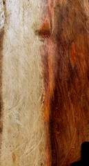 Wood slab. Amazing background of brown texture of wood grain. Natural slate with shades of golden and brown colors.. old wood texture background

