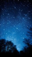 Starry night sky panorama: collision of tranquility and infinite wonder