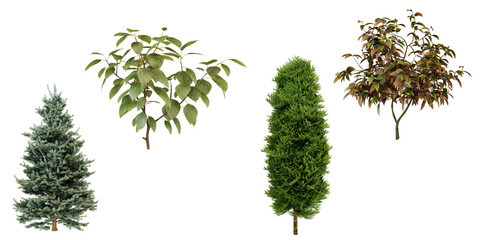 Collection of various trees and shrubs for landscaping design transparent background