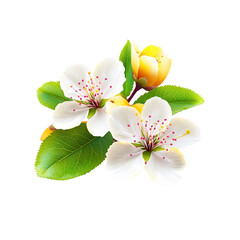 Naklejka premium Delicate White and Yellow Blossoms with Green Leaves