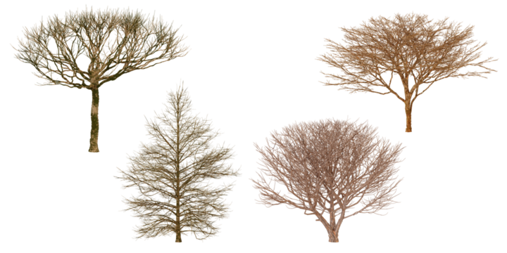 Dry bush aerial view set.  Nature texture background transparent background.